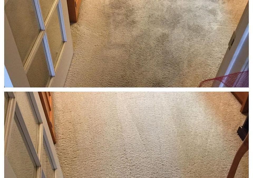 Are carpet cleaning fumes toxic? RevivePro Carpet Cleaner